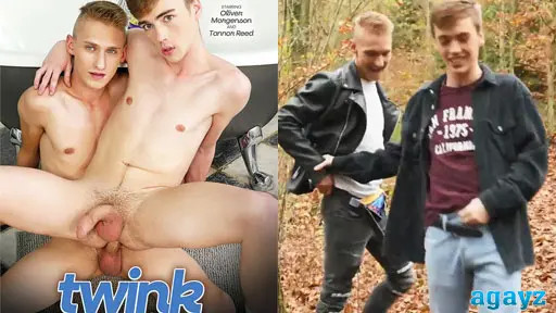 Соблазны твинков 6