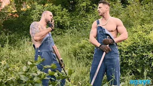 Давай лучше сраки порвем друг другу